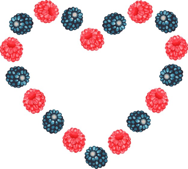 Vector raspberry and blackberry heart
