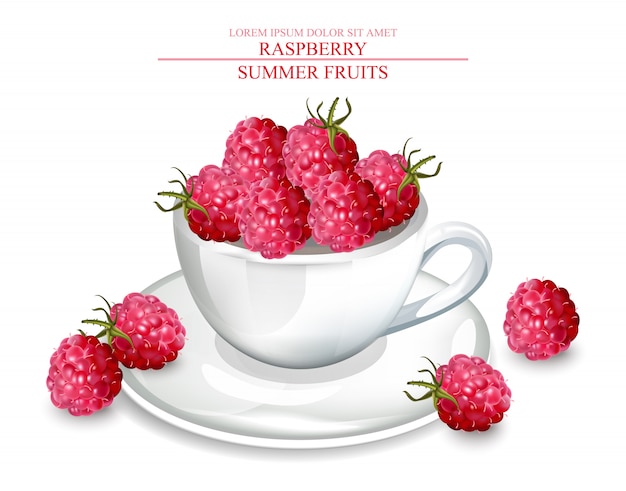 Vector raspberry in a white cup