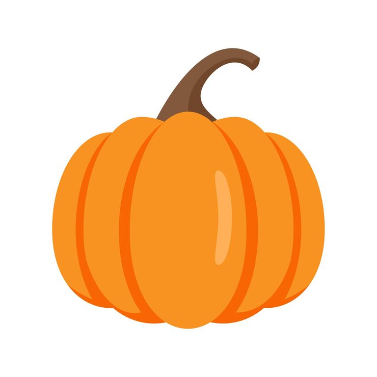 Vector raw pumpkin icon flat illustration of raw pumpkin vector icon isolated on white background