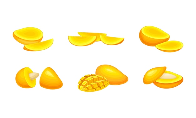 Vector ripe orange mango as stone fruit with pit inside vector set