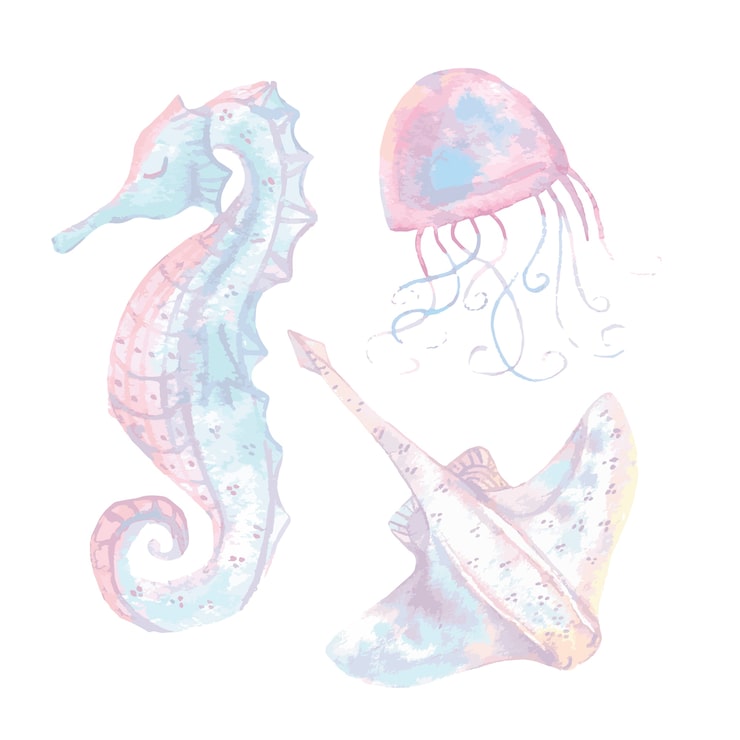 romantic ocean animals