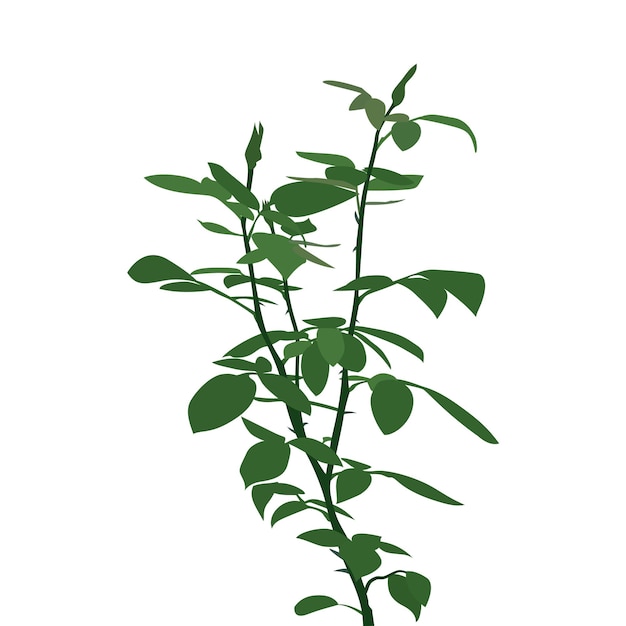 Vector rose tree vector for design