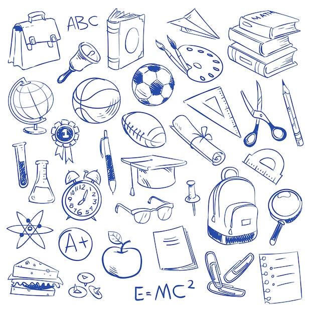 Vector school education and science