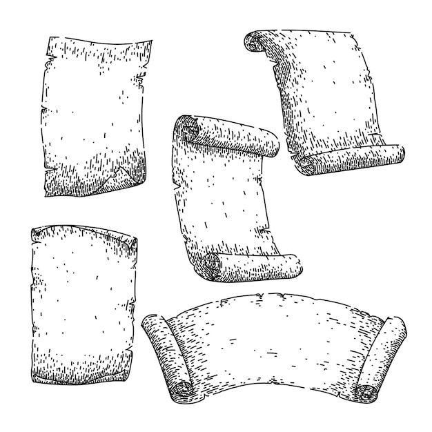 Vector scroll paper set sketch hand drawn vector