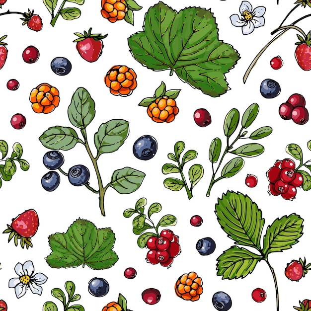 Vector seampless pattern vector color food garden and forest berries