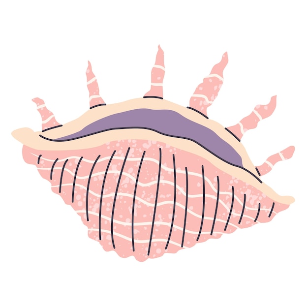 Vector seashell isolated on white background vector flat summer illustration clipart