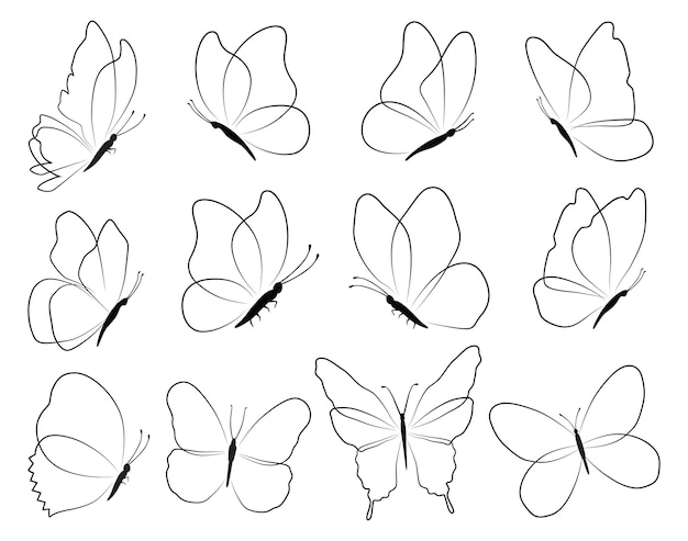 Vector set of black butterflies isolated on white background collection of silhouettes butterfly black co