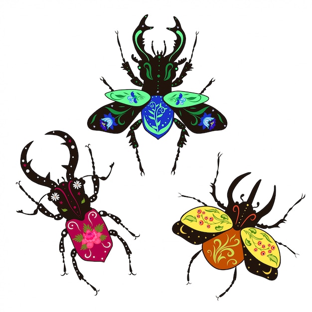 Vector set of decorative beetles isolated on a white background.  graphics.