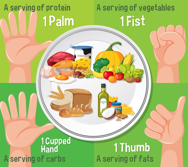 Vector set of food macronutrients a visual guide