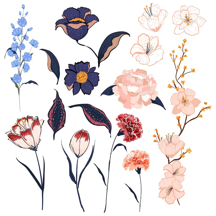 Vector set of hand drawing floral blooming garden flowers vector