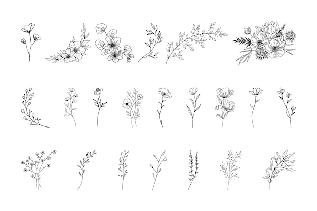 Vector set of hand drawn botanical flowers line art vector collection of foliage leaf branches floral