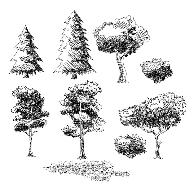 Vector set of handdrawn illustrations of plants
