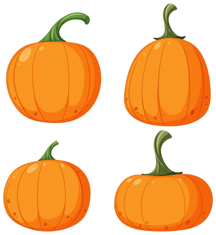 Vector set of pumpkin on white background