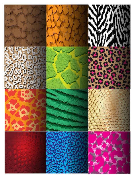 Vector set of seamless animal print pattern color