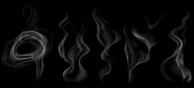 Vector set of several realistic transparent gray smokes or steam for use on dark background transparency only in vector format