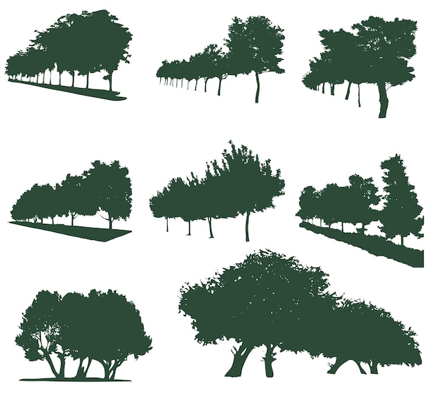 Vector set of silhouettes of deciduous park and forest trees