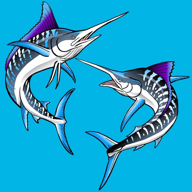 Vector set of stripped marlin fish for premium pack