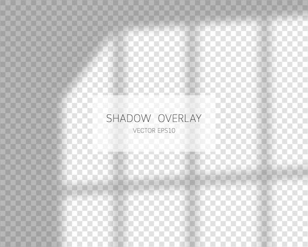 Vector shadow overlay effect. natural shadows from window  on transparent background.  illustration.