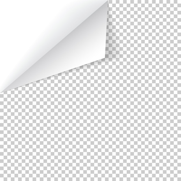 Vector sheet of paper with curled corner and soft shadow