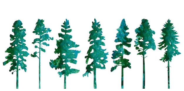 Vector silhouette of pine fir tree design vector isolated