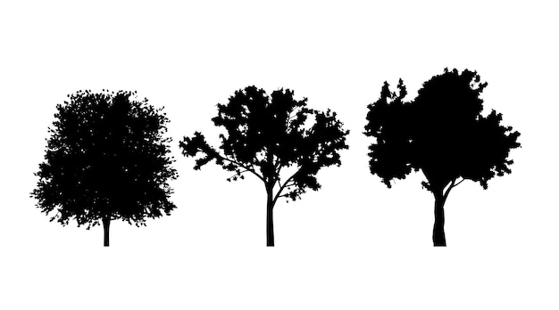 Vector silhouette trees image