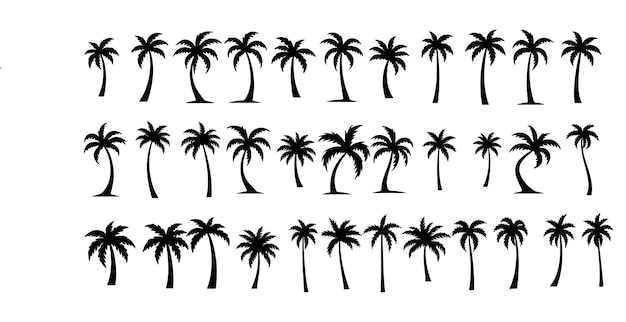 Vector silhouettes of palm trees in various tropical styles and angles on white background