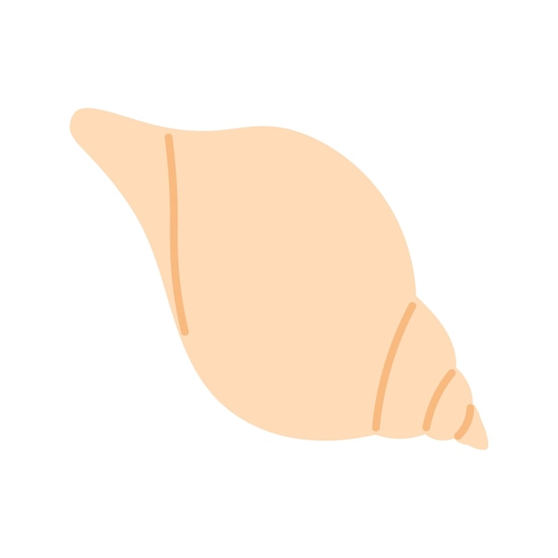 Vector a simple illustration of a seashell