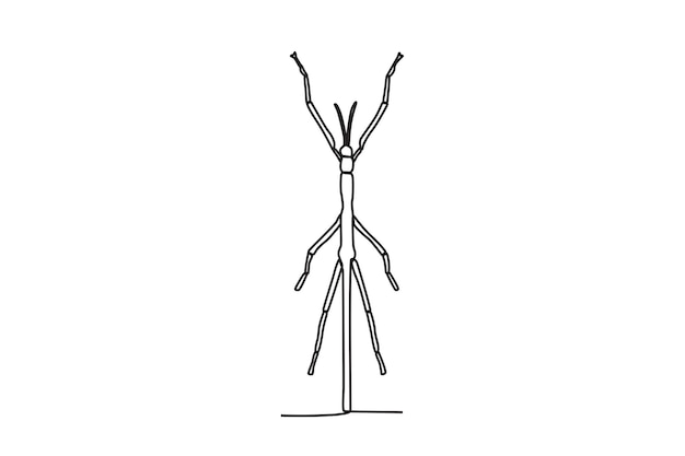 Vector a single continuous line drawing of an stick bug for the farm's logo identity single line drawing