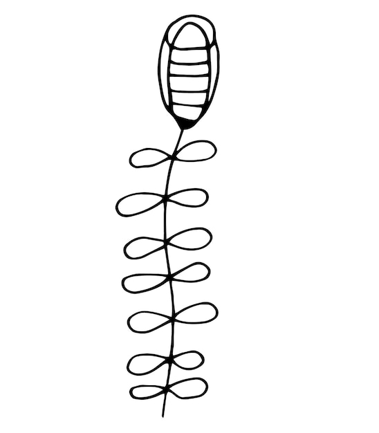 Vector single hand drawn herbal floral elements doodle vector illustration for logo and greeting card