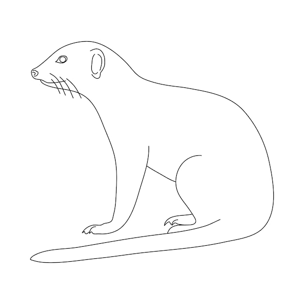 Vector sketch of mongoose hand drawn vector illustration