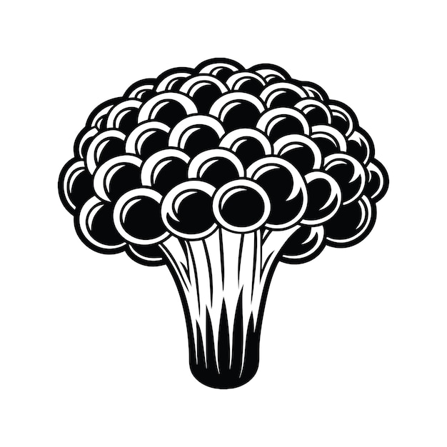 Vector sparassis mushroom svg