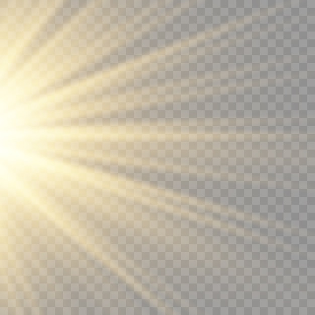 Vector the star burst with brilliance