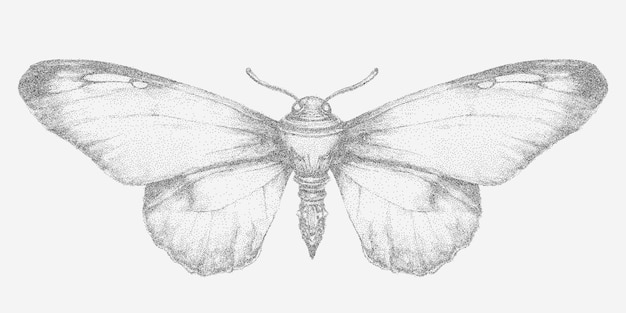 Vector steampunk butterfly flat shape with visible distress coarse grain texture and subtle gravel pattern