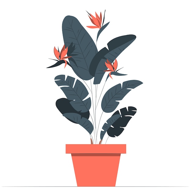 Vector strelitzia reginae in pot on white background cute exotic floliage hand drawn doodle style vector