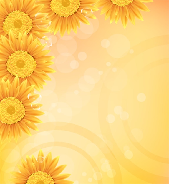 Vector sunflower yellow color gradient background with bokeh vector design
