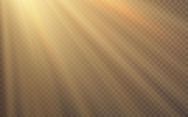 Vector sunlight special lens flash light effect   effect of blurring light.