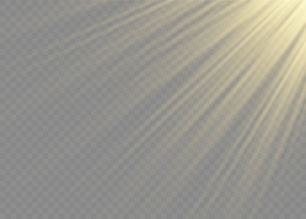 Vector sunlight special lens flash light effect