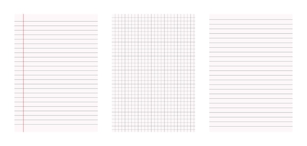 Vector three different paper types show line and grid patterns on white background