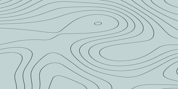 Vector topographic contour map background