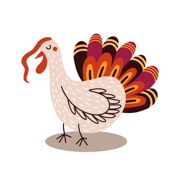 Vector traditional thanksgiving symbol turkey