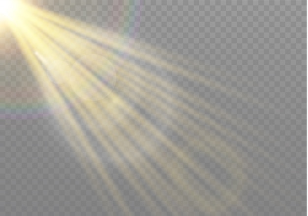 Vector transparent sunlight rays effect.