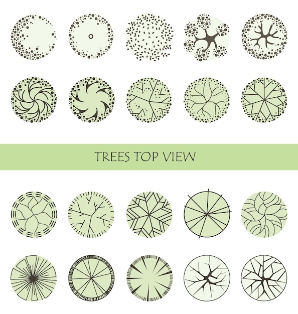 Vector tree for architectural floor plans entourage design