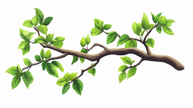 Vector tropical branch icon isolated flat wide angle centered