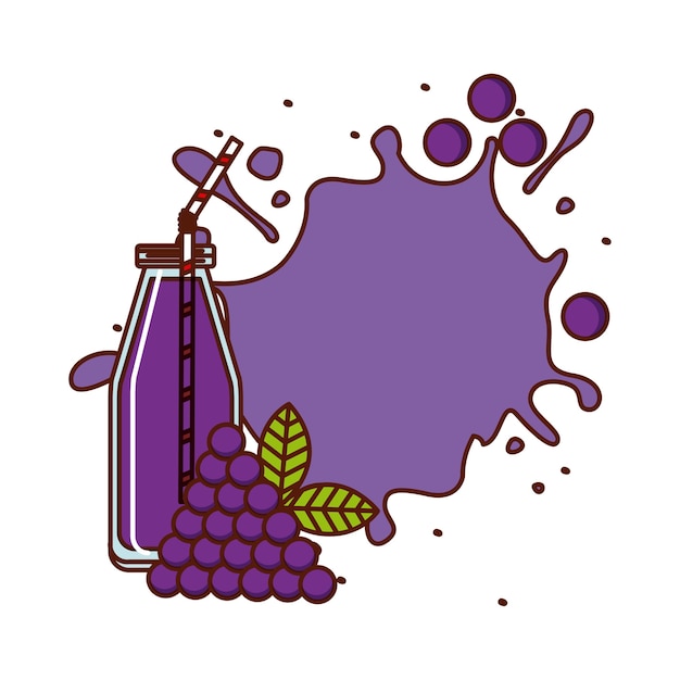 Vector tropical fruit design