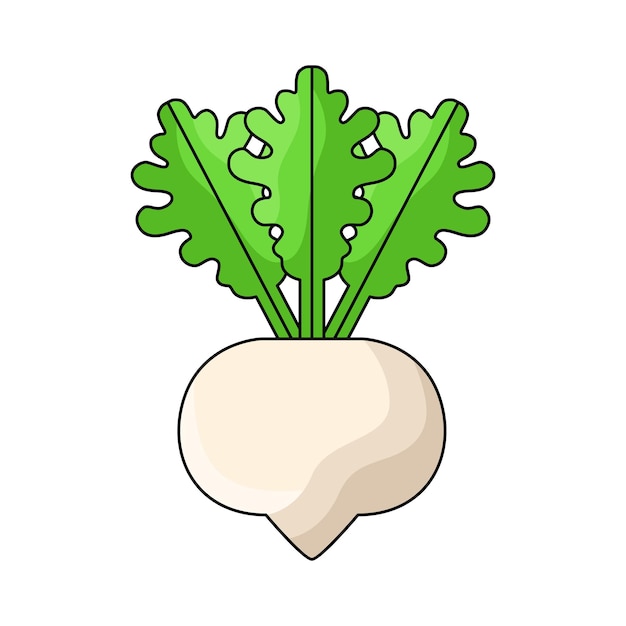 Vector turnip
