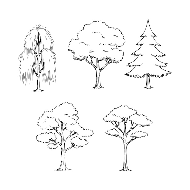 Vector variety of minimal hand drawn tree sketches in side elevation view for architectural plans
