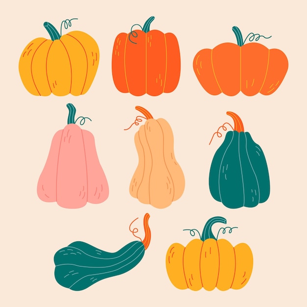 Vector various colorful pumpkins illustration