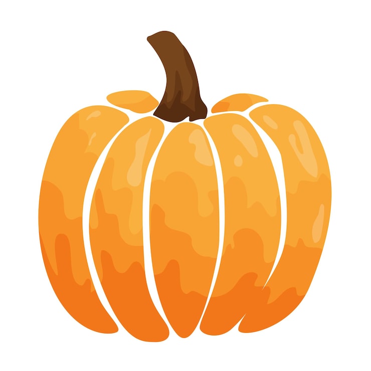 Vector vector drawing pumpkin autumn pumpkin yellow pumpkin