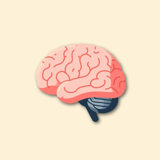 Vector vector human brain illustration logo