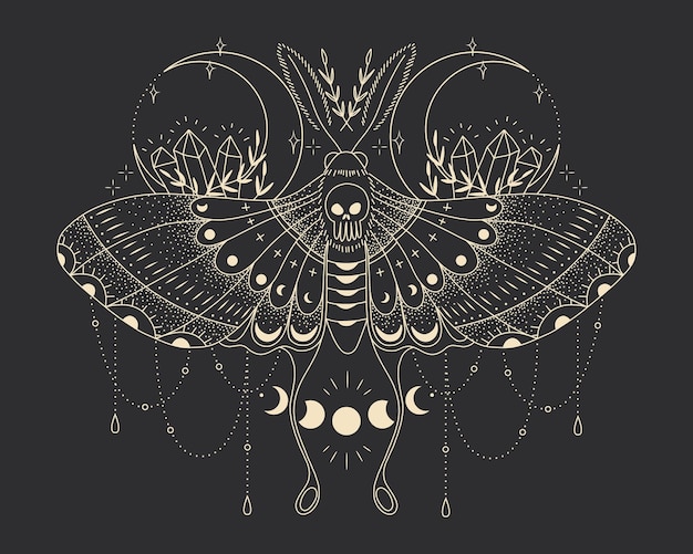 Vector vector illustration set of moon phases different stages of moonlight activity in vintage engraving